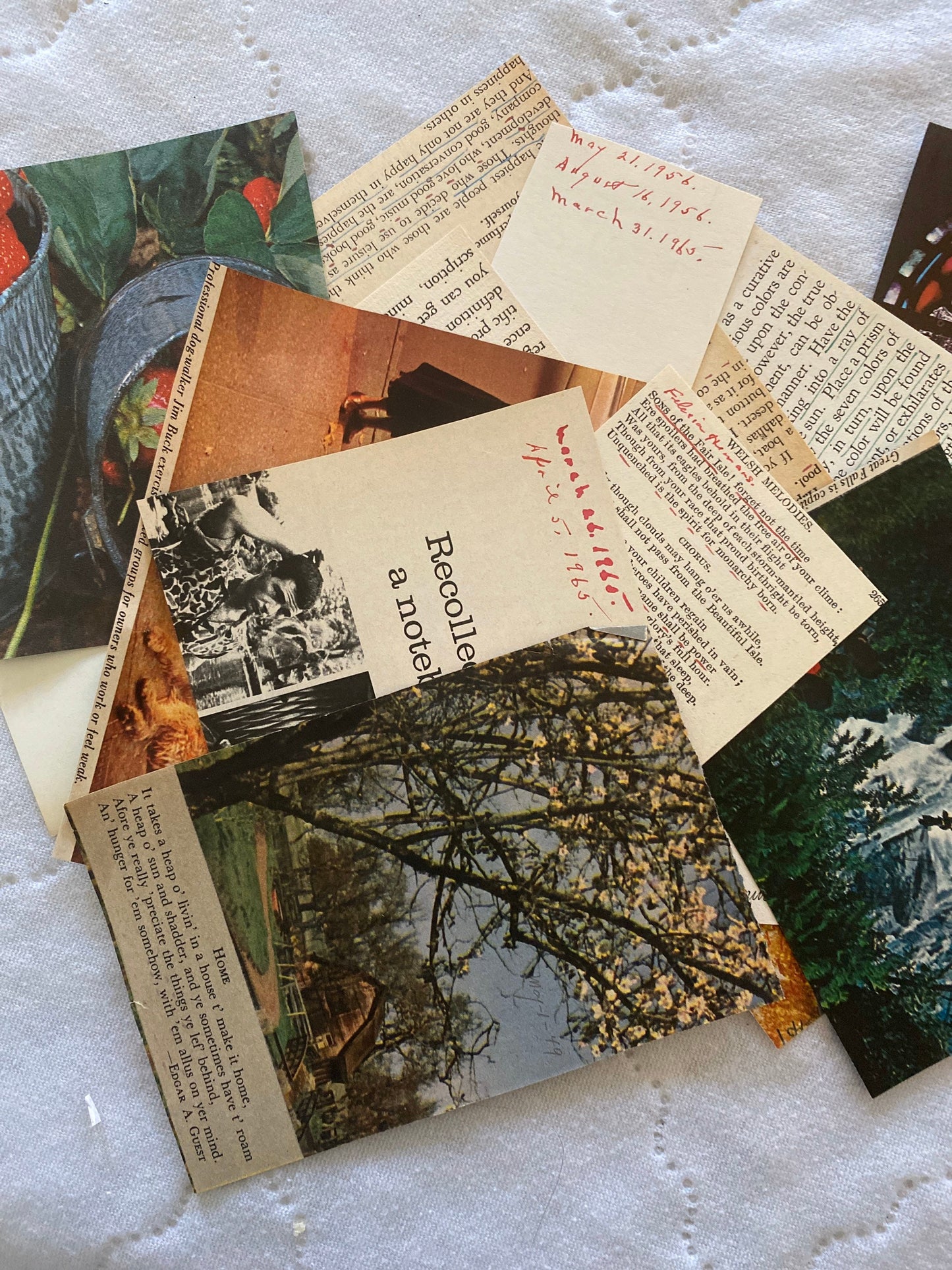 Vintage Book Johann Strauss Father and Son A Century of Light Music (HC, 1939)