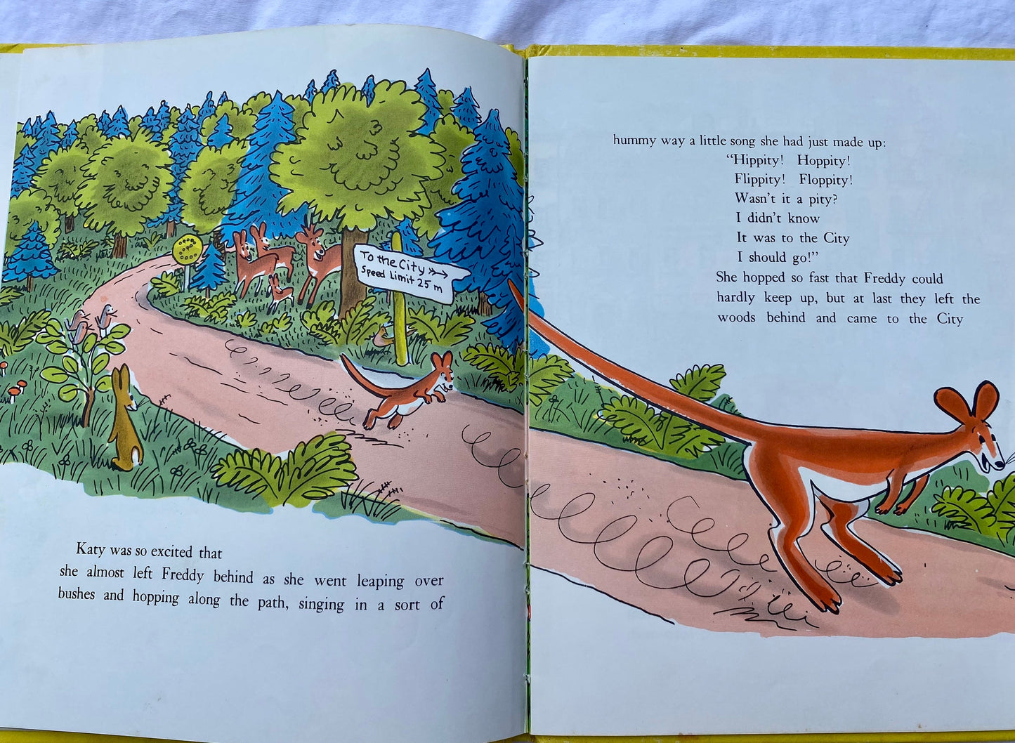 Katy No Pocket By: Emmy Payne (HB)