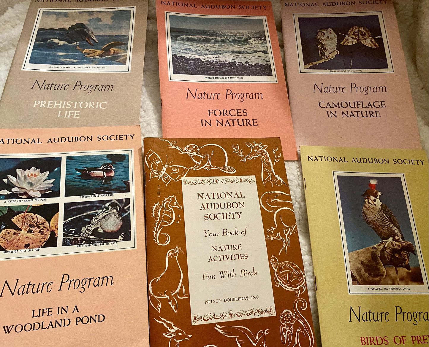 National Audubon Society NATURE PROGRAM Set (1950’s)