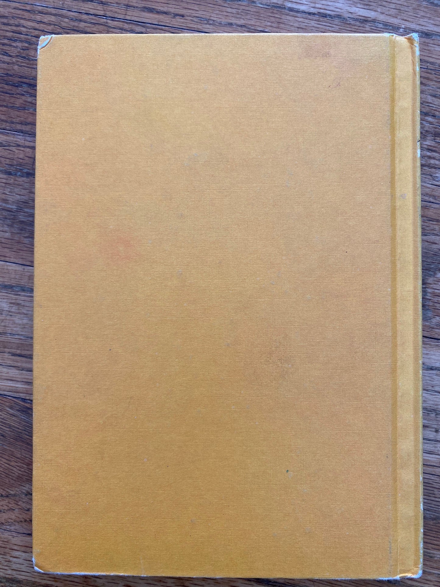 Vintage An I Can Read Mystery, “Big Max” By: Robert Lopshire (HC, 1965) First Edition